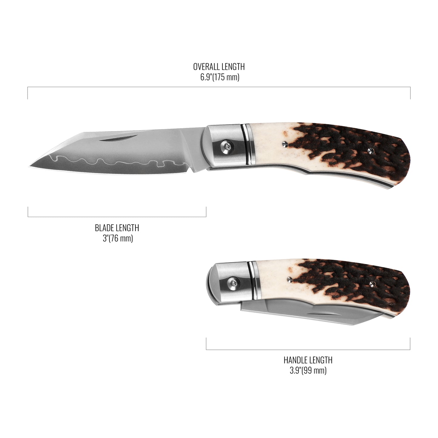 Tacray Albion - Premium Slip-Joint Pocket Folding Knife